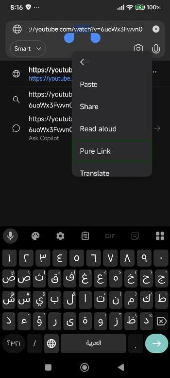 Скриншот 6 — Pure Link: URL Sanitizer