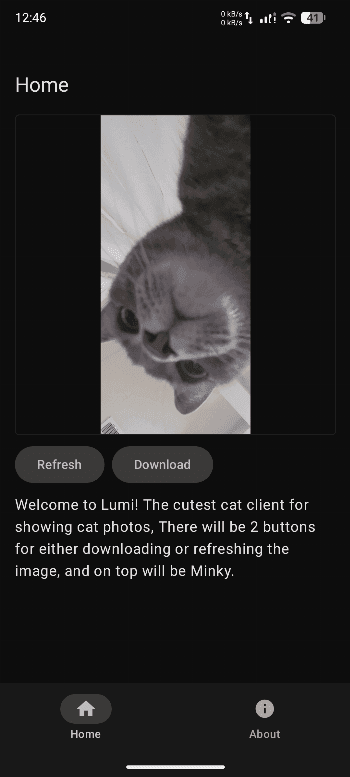 Скриншот 1 — Lumi