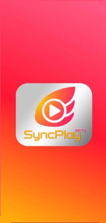 Скриншот 1 — Synkplay
