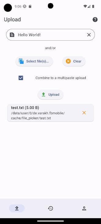 Скриншот 3 — FileBin