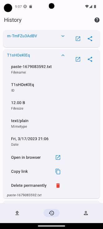 Скриншот 4 — FileBin