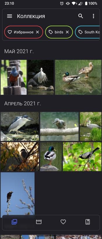 Скриншот 1 — Aves