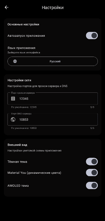 Скриншот 3 — App2Proxy