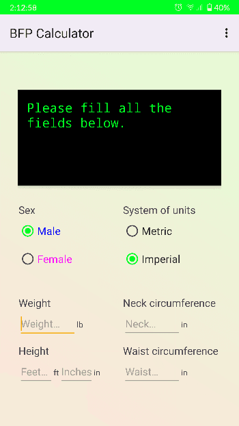 Скриншот 2 — BFP Calculator