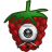 Иконка приложения RPi Camera Viewer