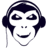 Иконка приложения Backing Trainer
