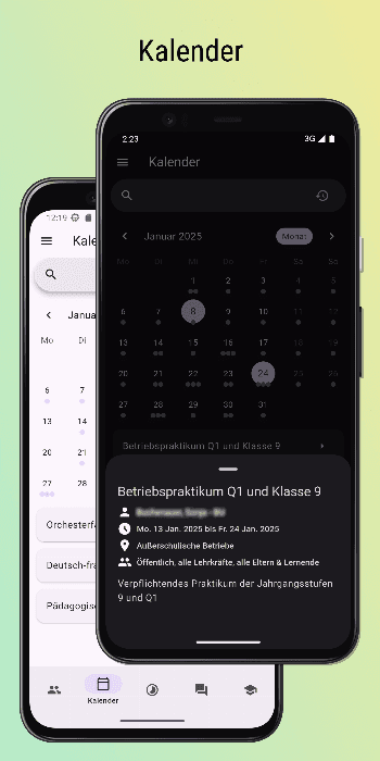Скриншот 2 — Lanis