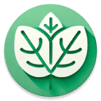 Иконка приложения Mint