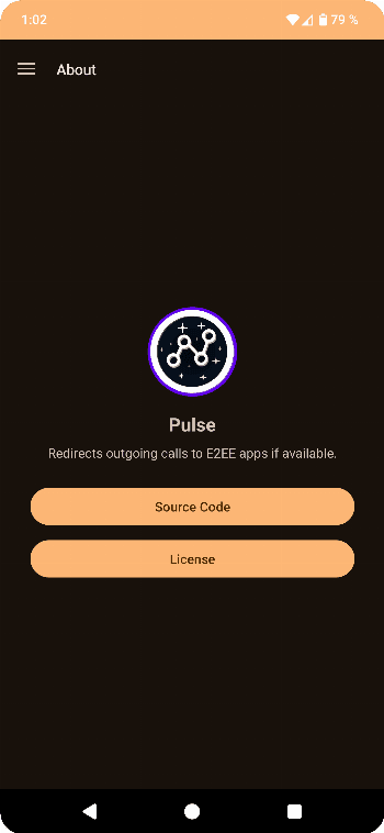 Скриншот 6 — Pulse