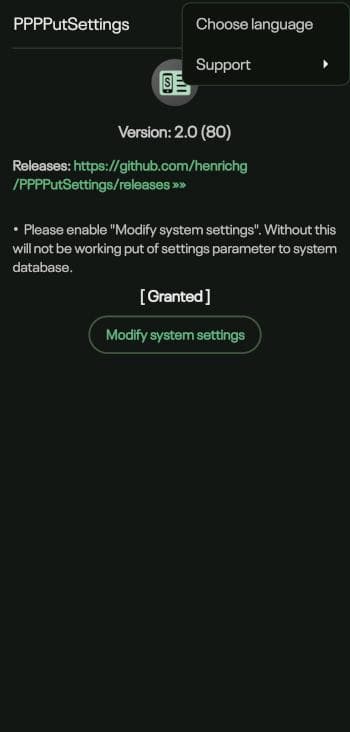 Скриншот 1 — PPPPutSettings