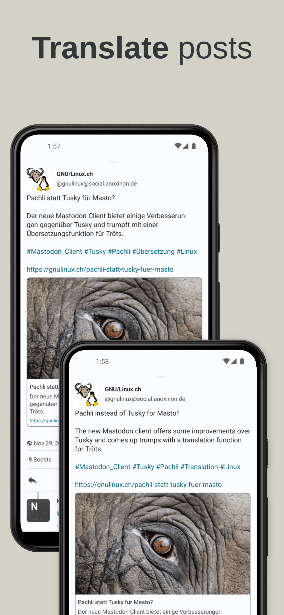 Скриншот 4 — Pachli для Mastodon