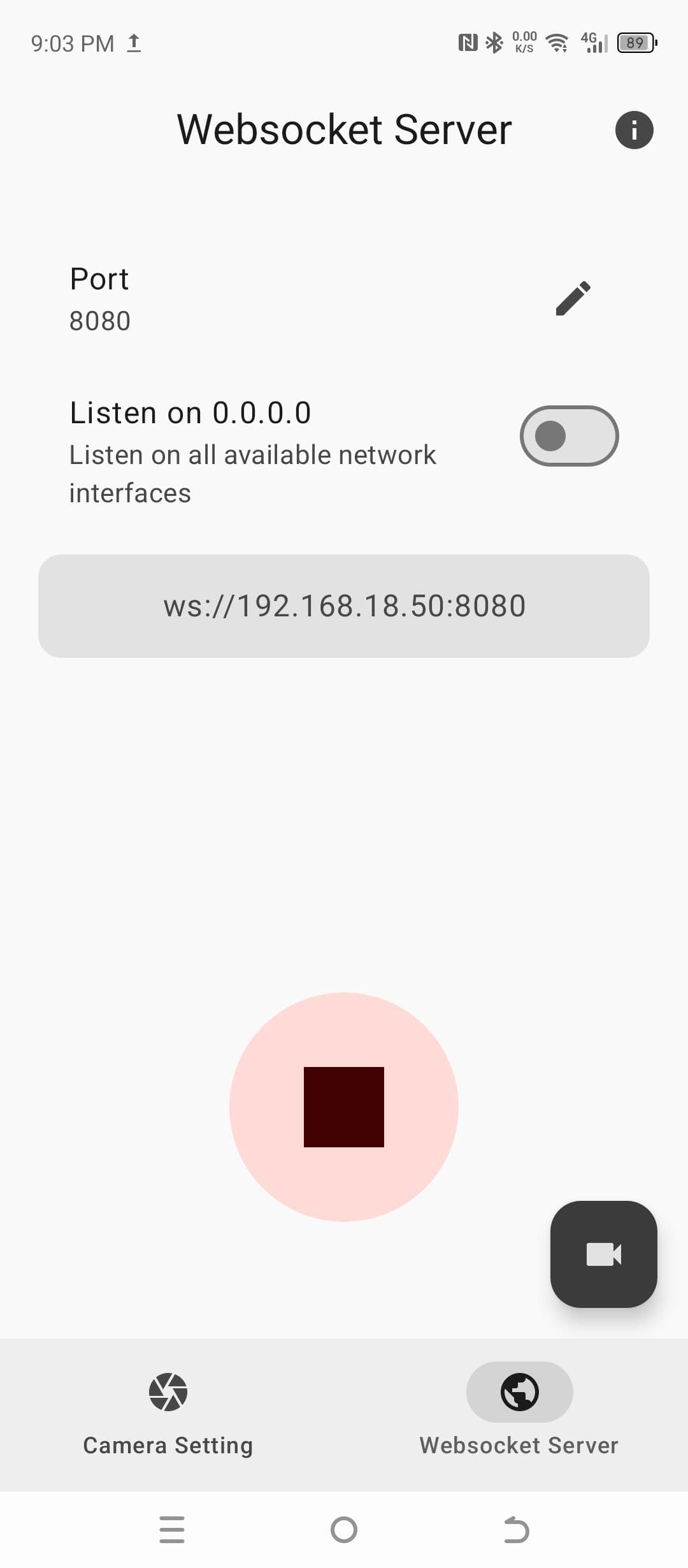 Скриншот 2 — Websocket CAM