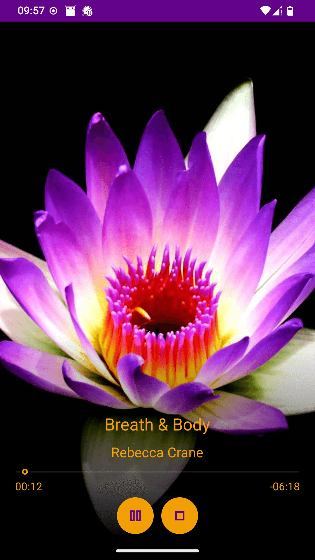 Скриншот 4 — Mindfulness Meditation