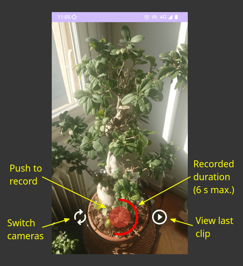 Скриншот 1 — OpenVine