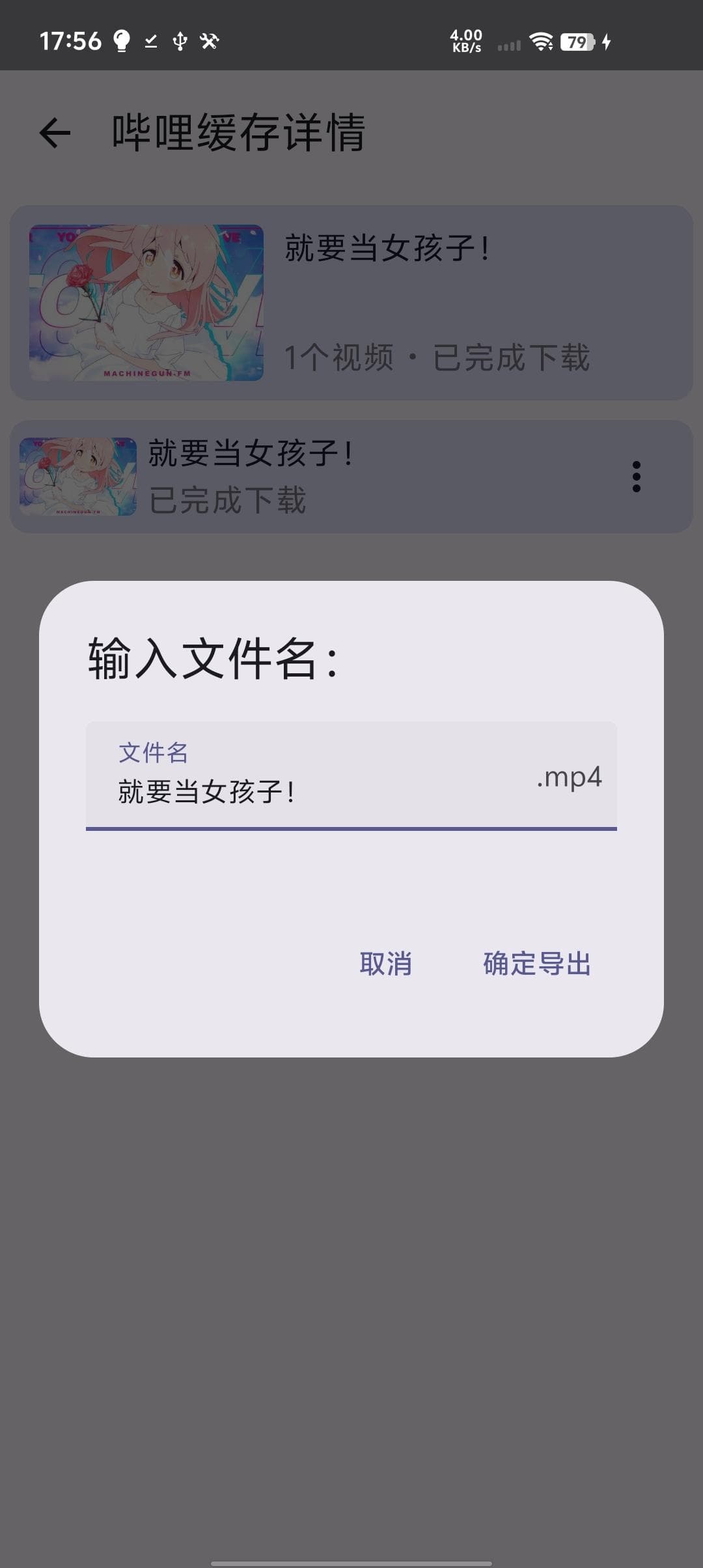 Скриншот 2 — BiliDownOut
