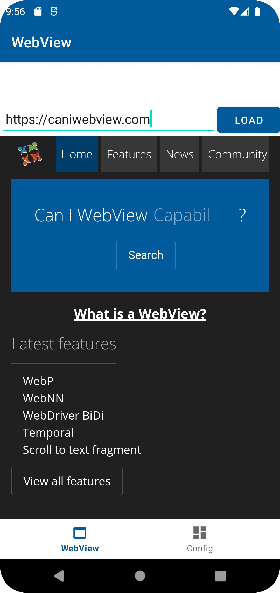 Скриншот 1 — CanIWebView