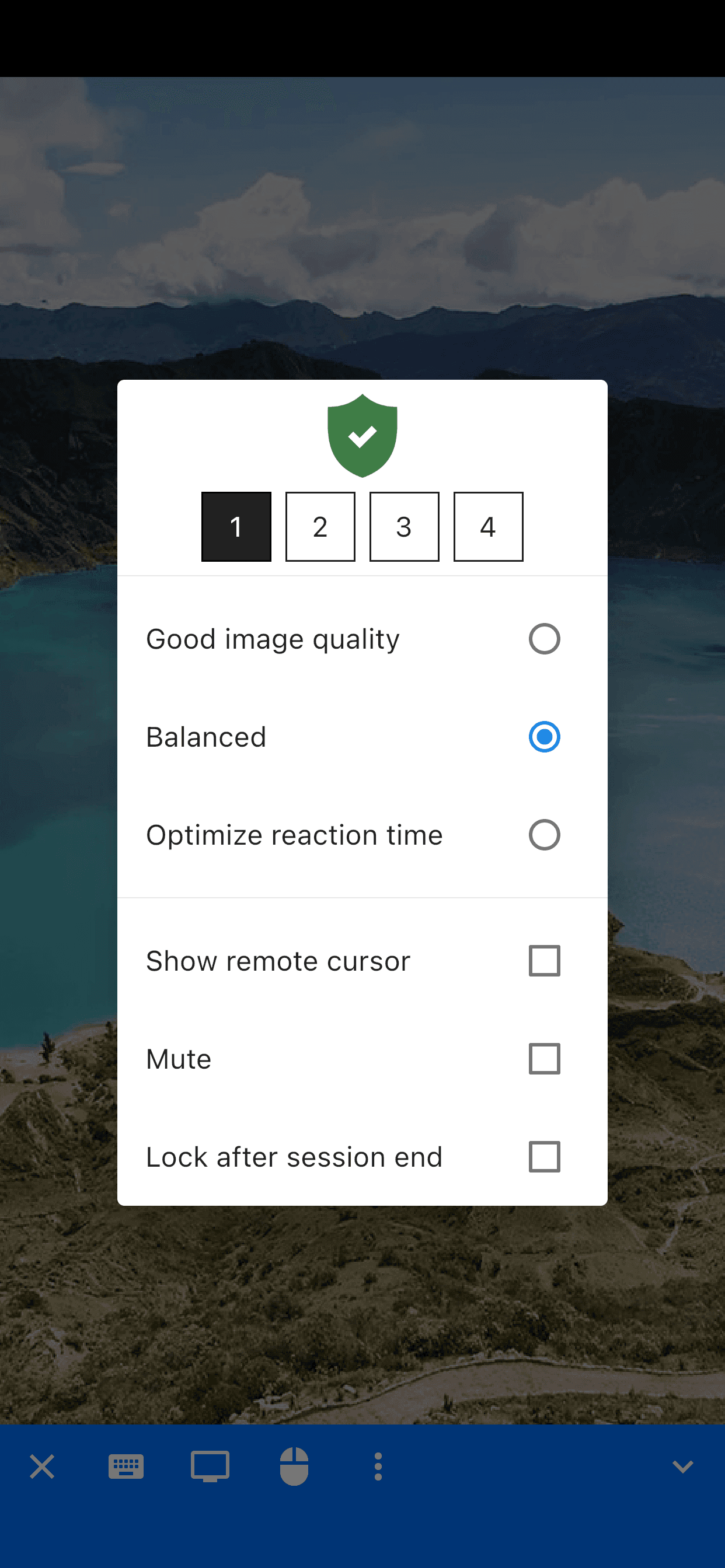 Скриншот 2 — RustDesk