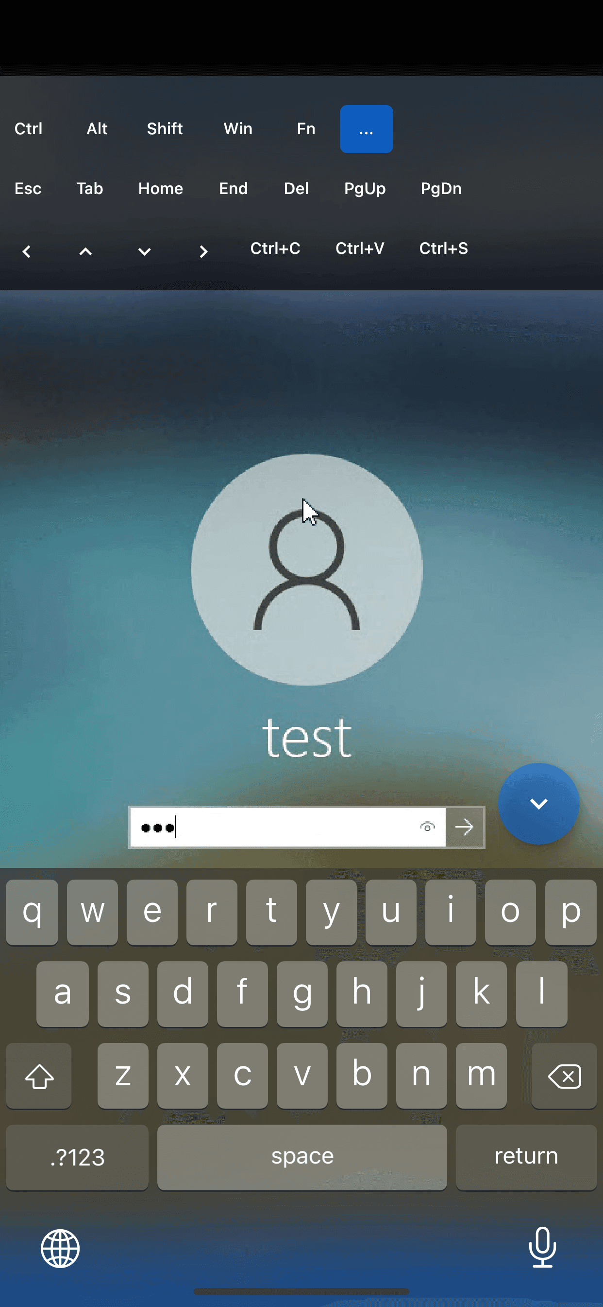Скриншот 3 — RustDesk