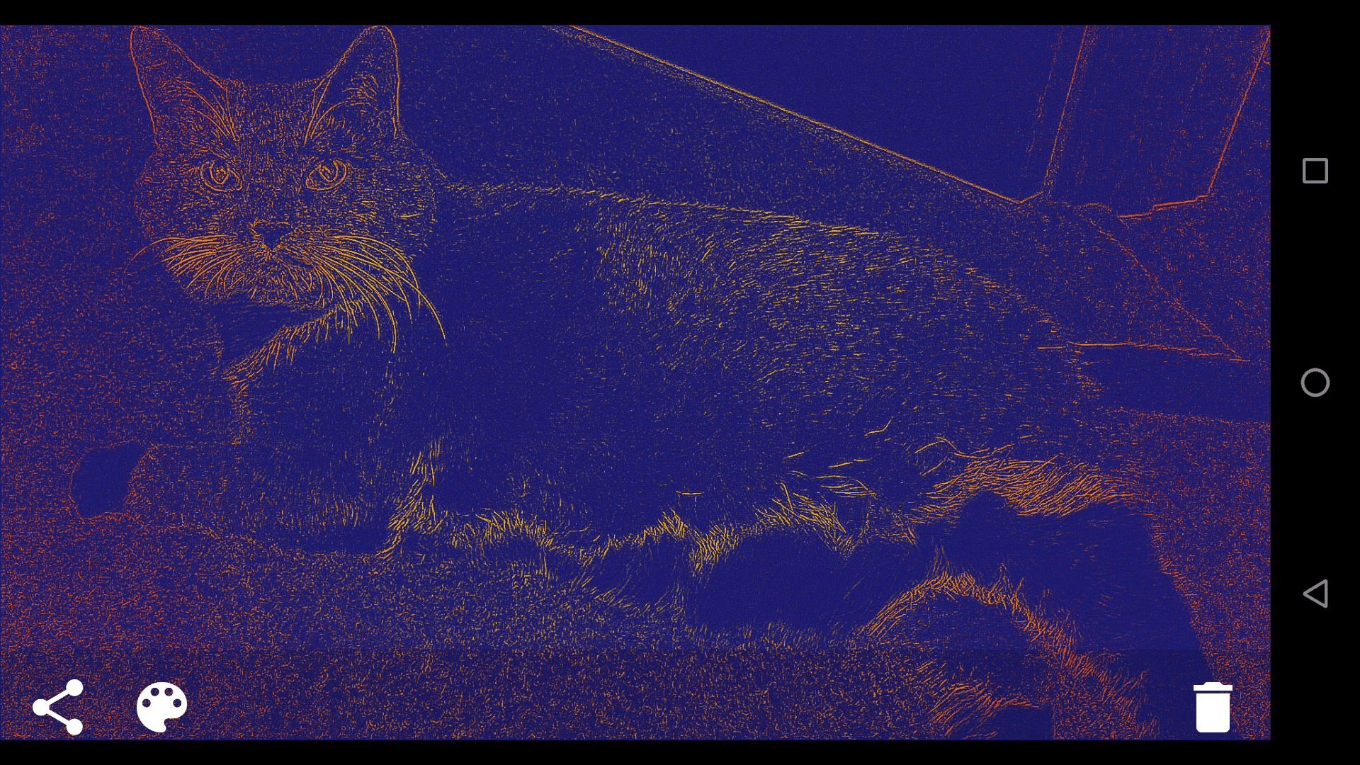 Скриншот 8 — Vector Camera