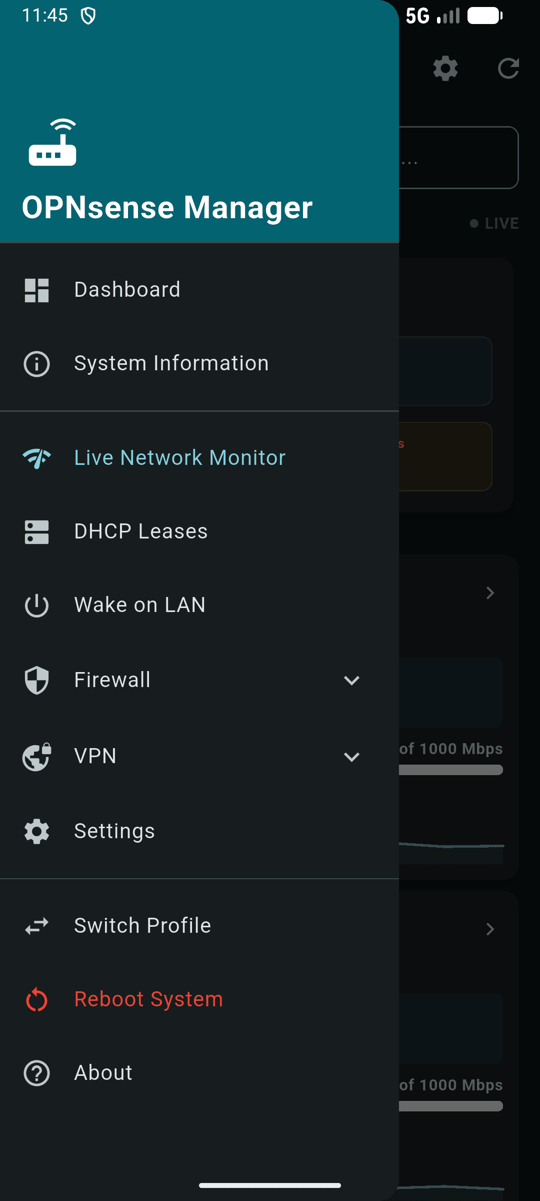 Скриншот 1 — OPNsense Manager
