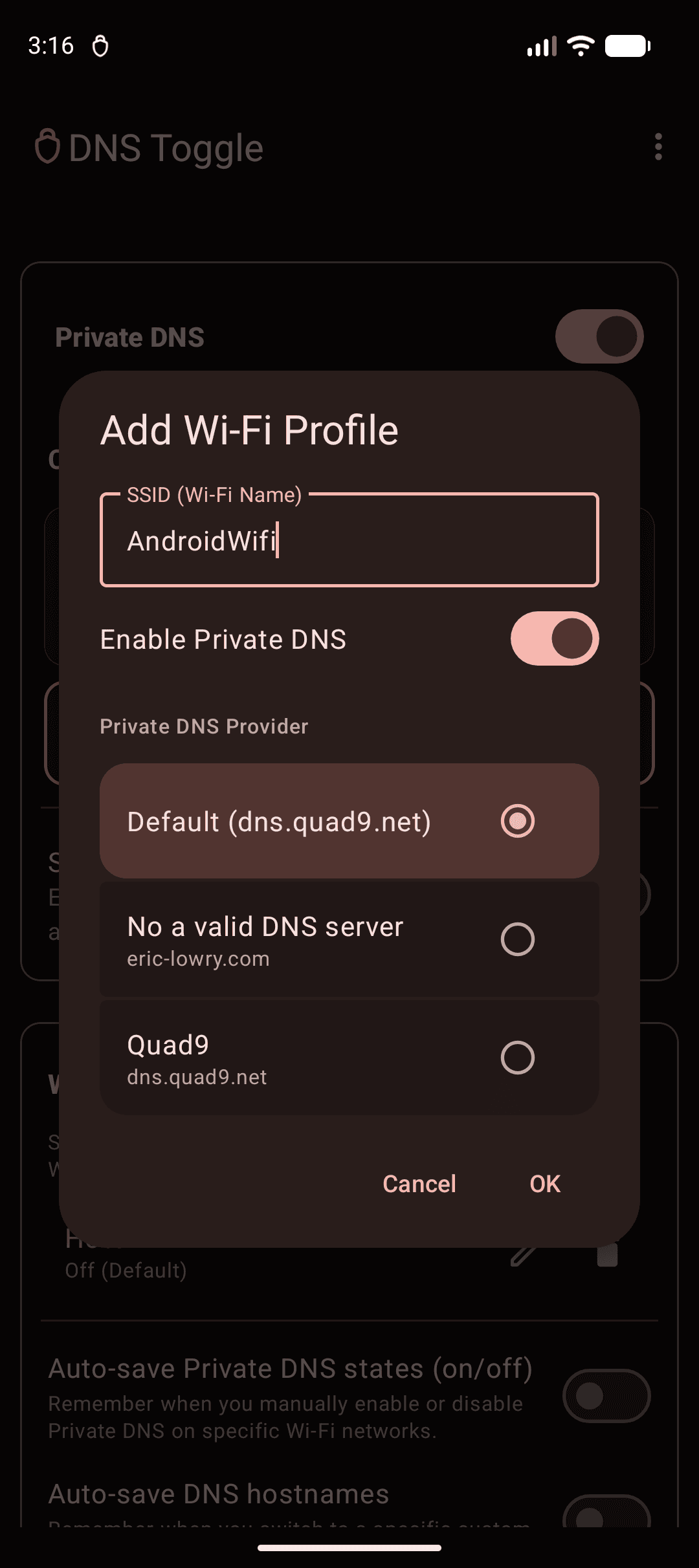 Скриншот 4 — DNS Toggle