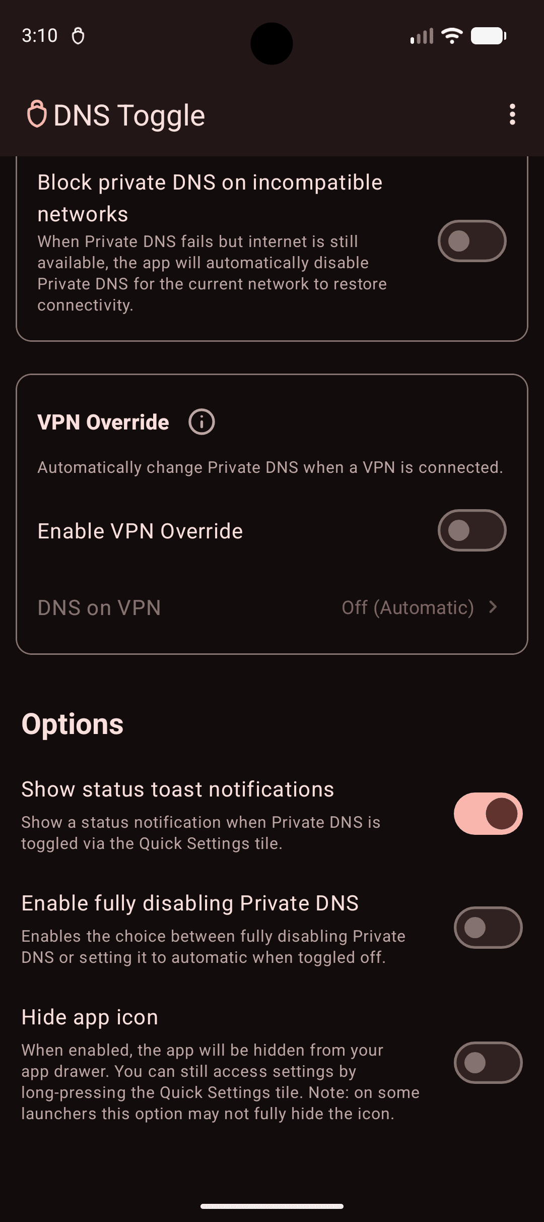 Скриншот 5 — DNS Toggle