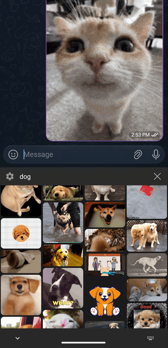 Скриншот 4 — GifBoard