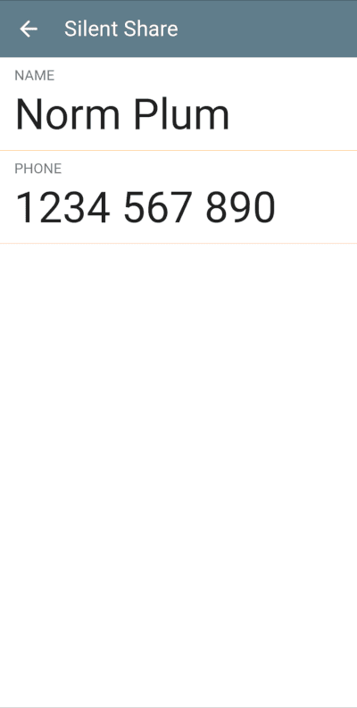 Скриншот 2 — SilentShare