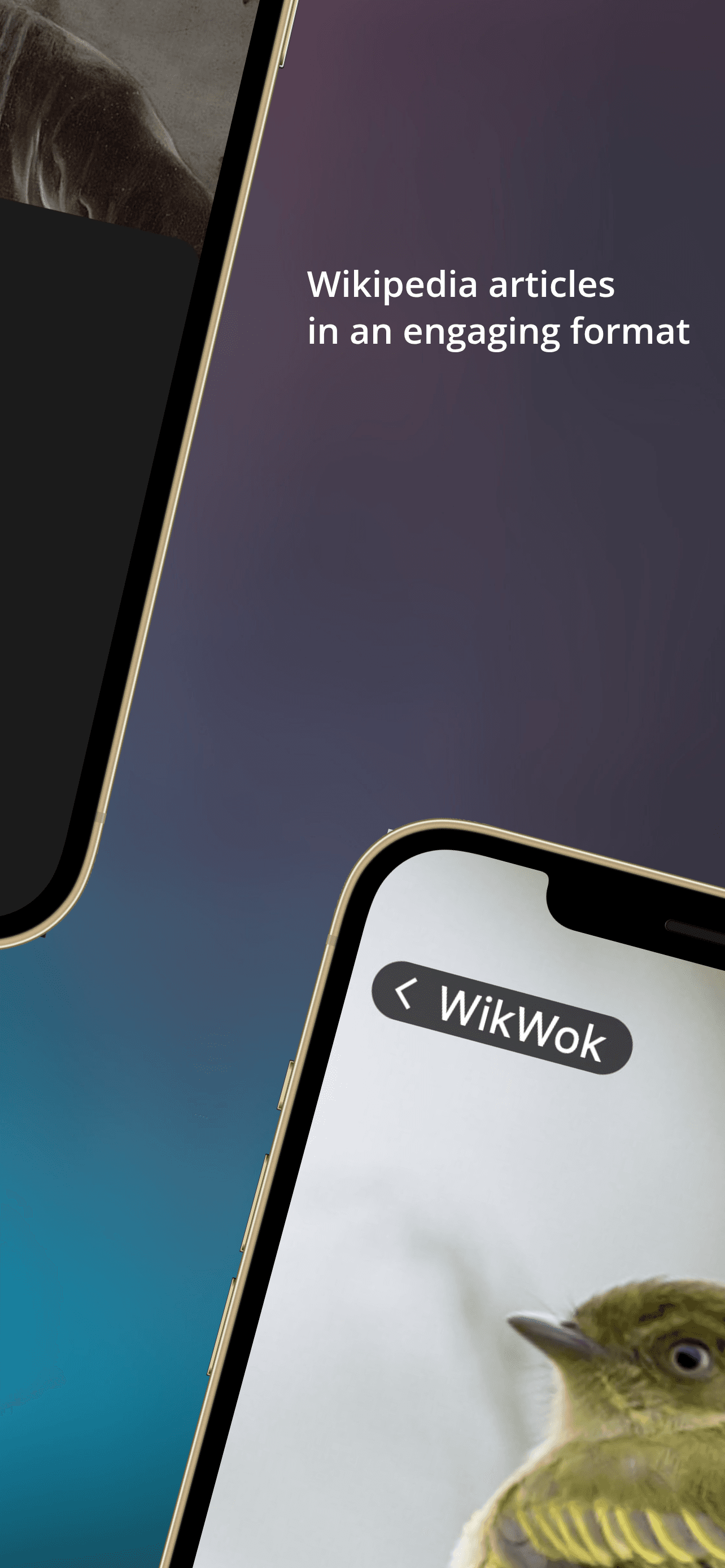 Скриншот 4 — WikWok