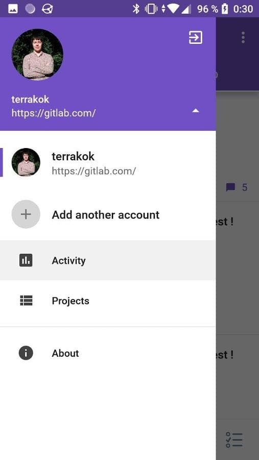 Скриншот 1 — GitFox