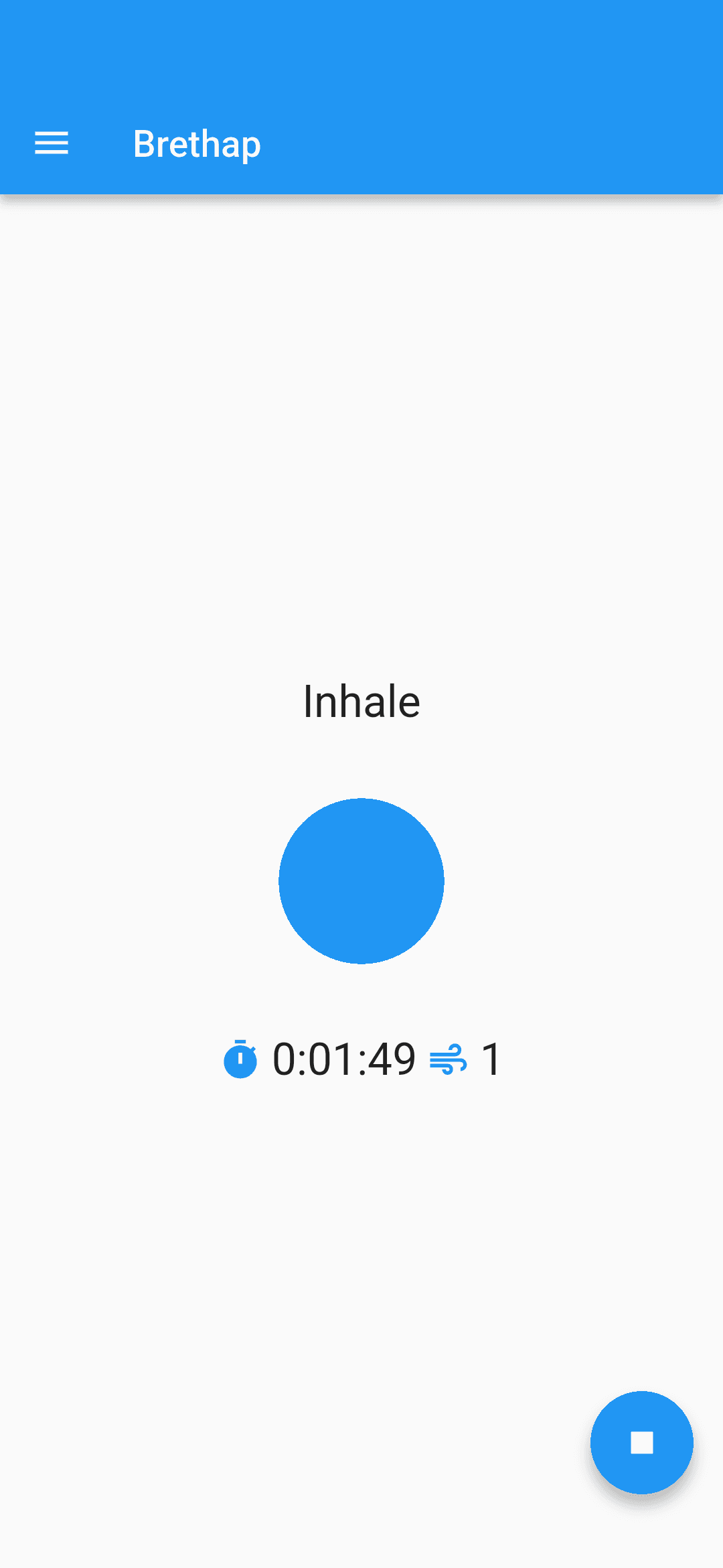 Скриншот 2 — Brethap