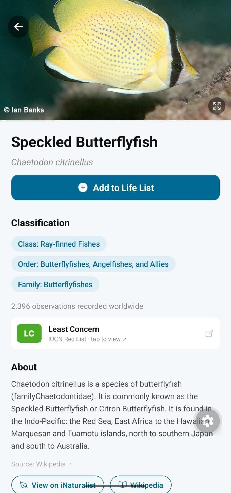 Скриншот 1 — Marlin