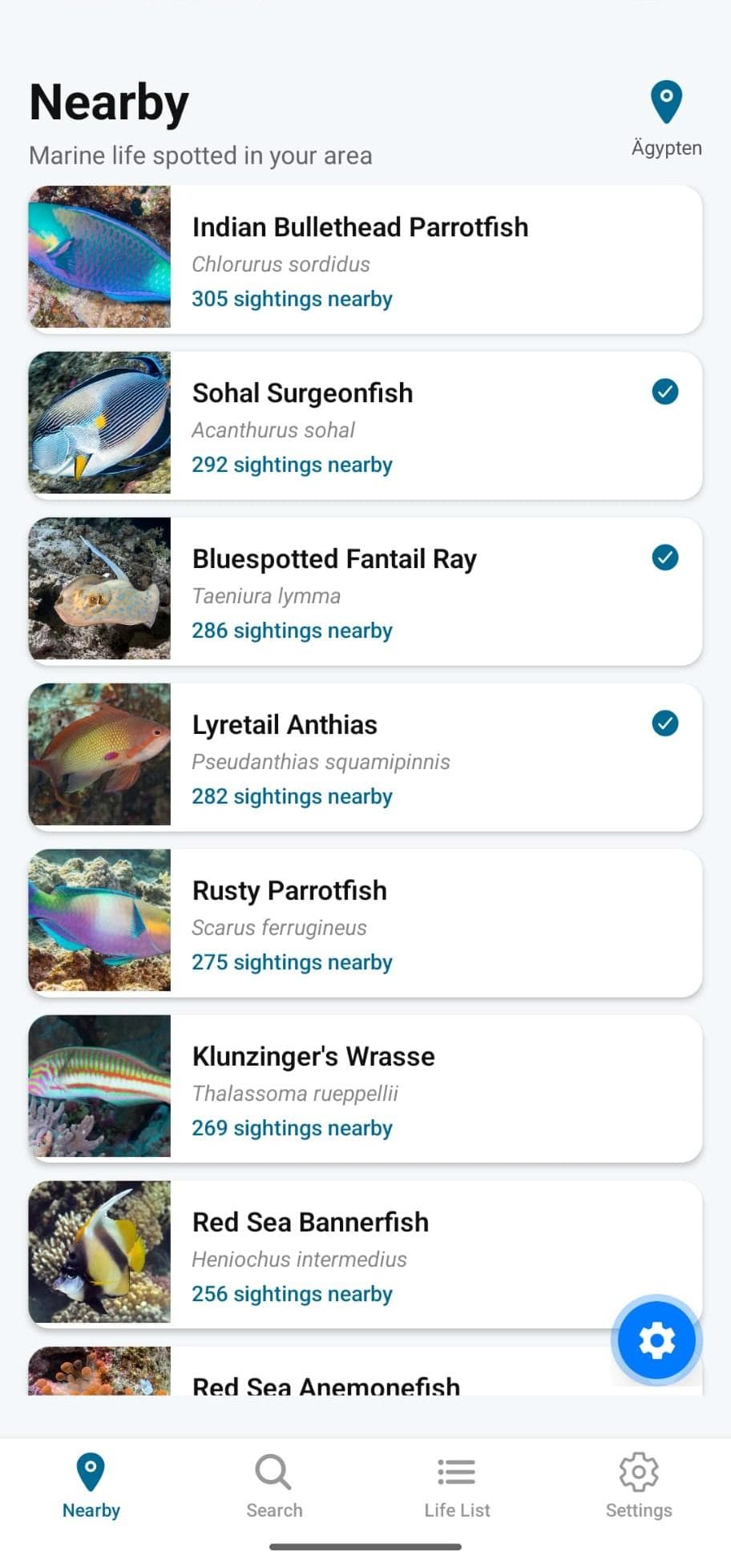 Скриншот 2 — Marlin