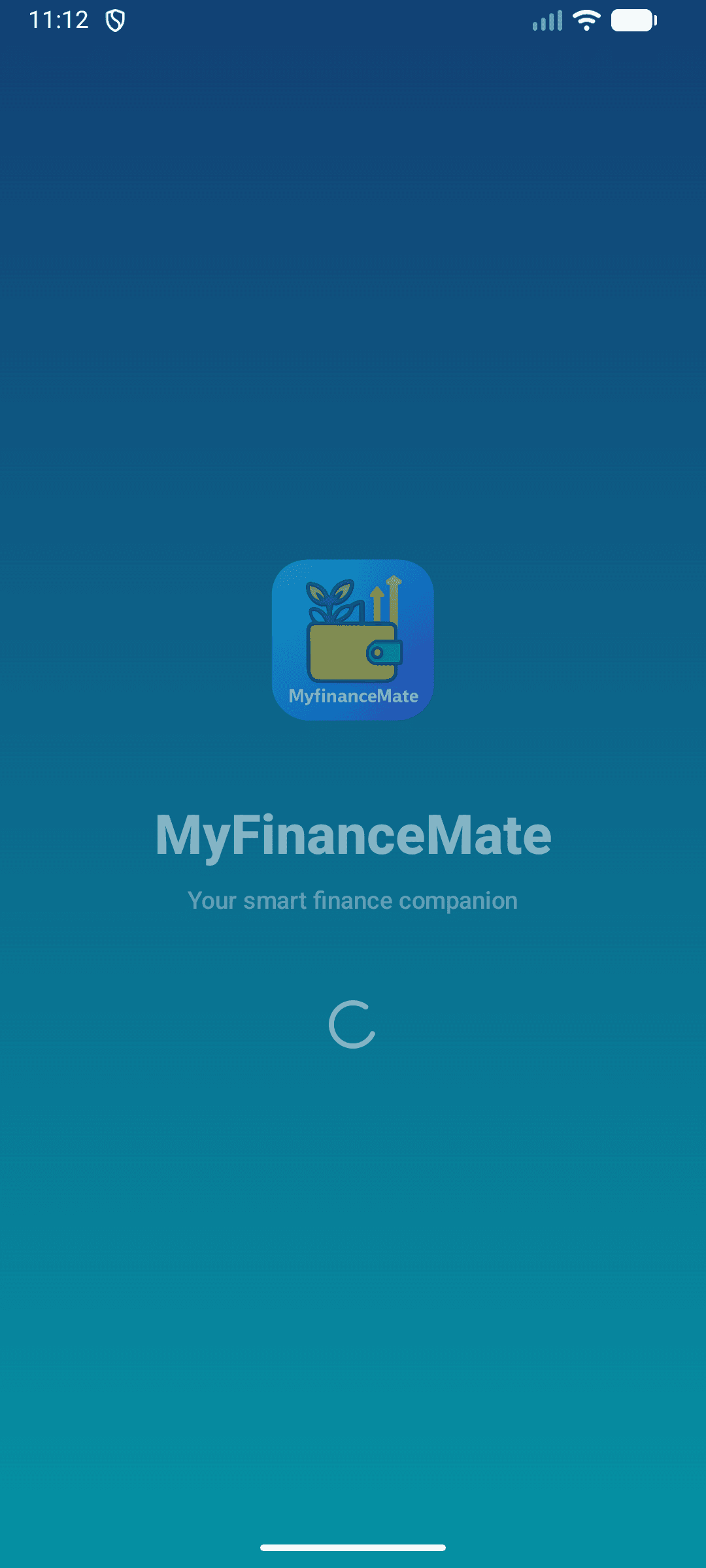 Скриншот 1 — MyFinanceMate