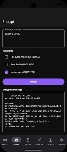 Скриншот 2 — PGPony