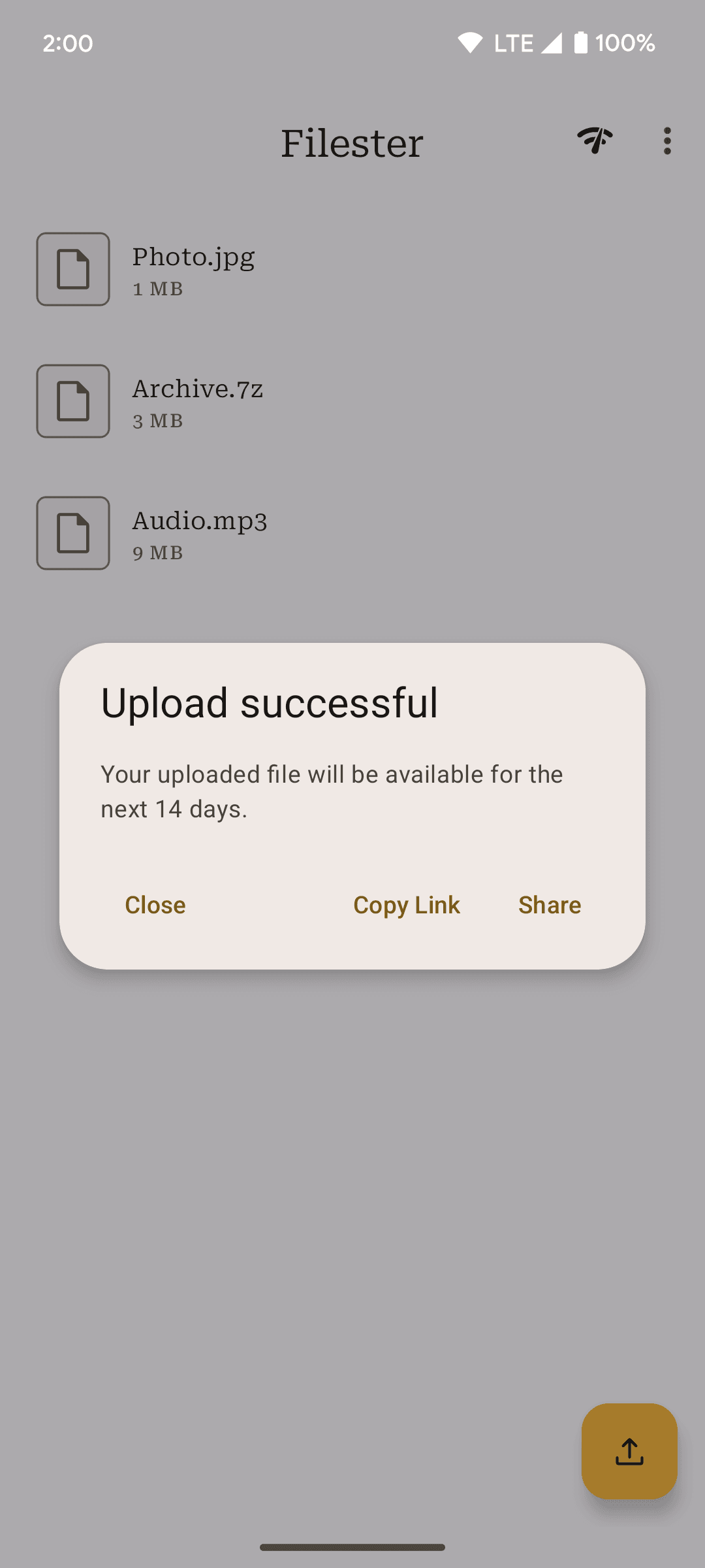 Скриншот 3 — Filester