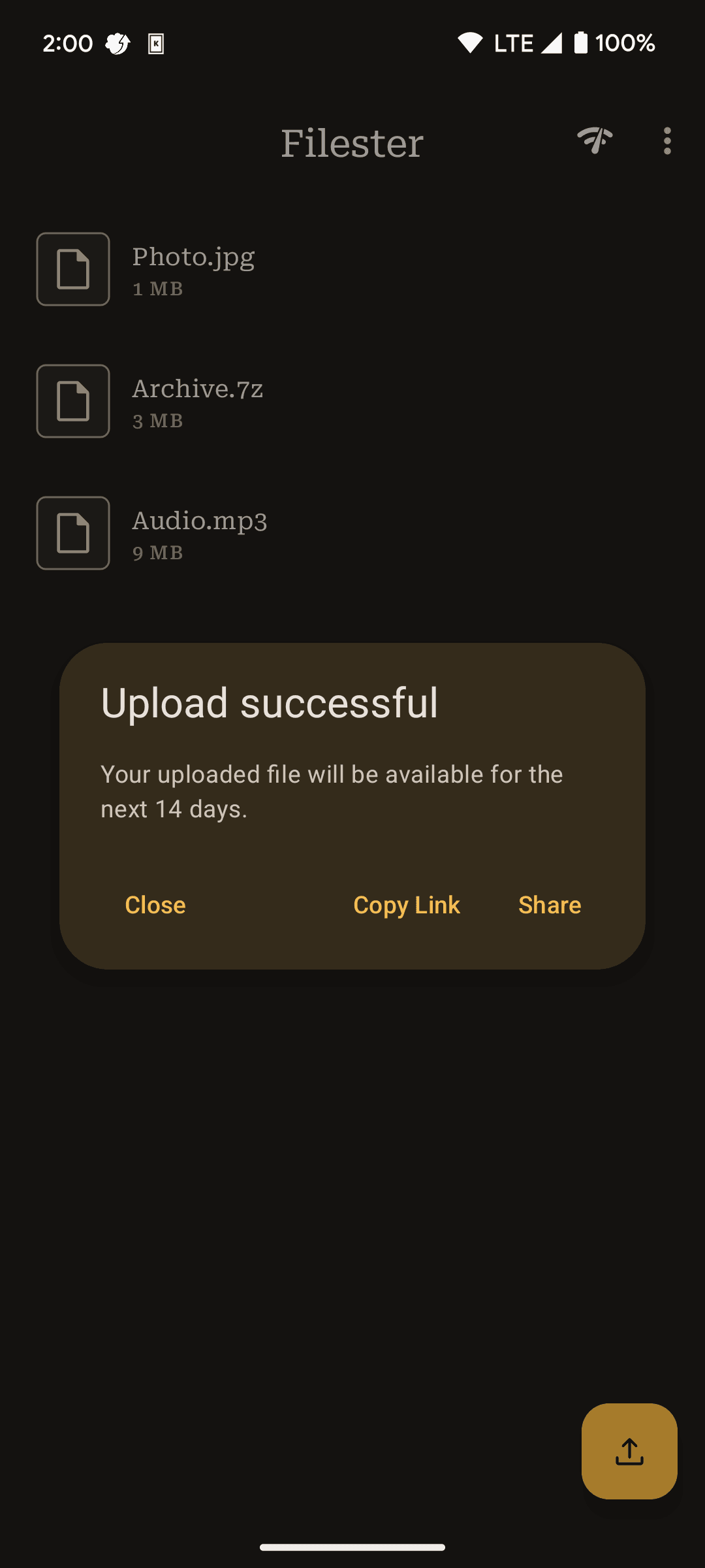 Скриншот 7 — Filester