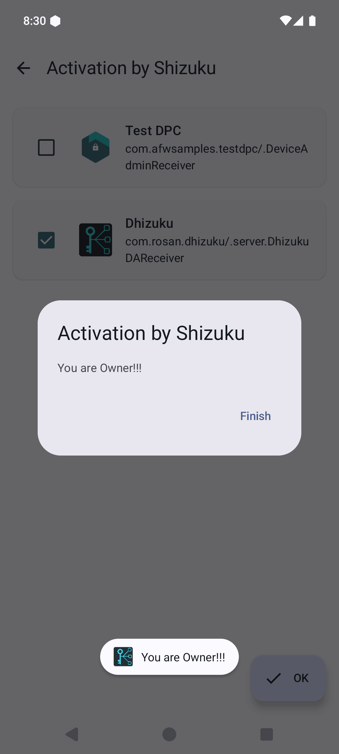 Скриншот 4 — Dhizuku