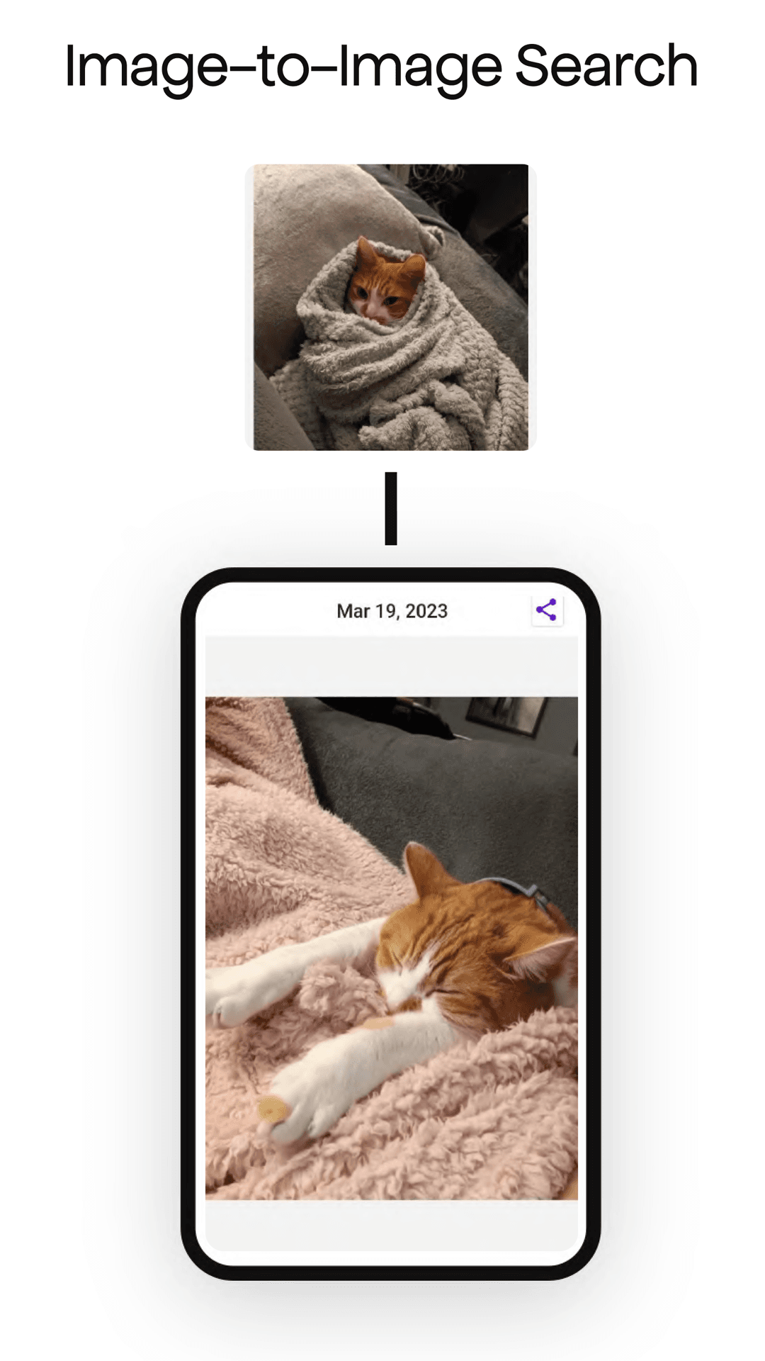 Скриншот 1 — TIDY Text-to-Image Discovery