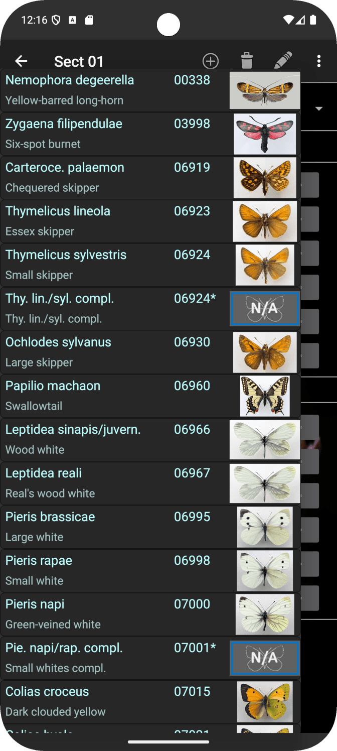 Скриншот 7 — TransektCount