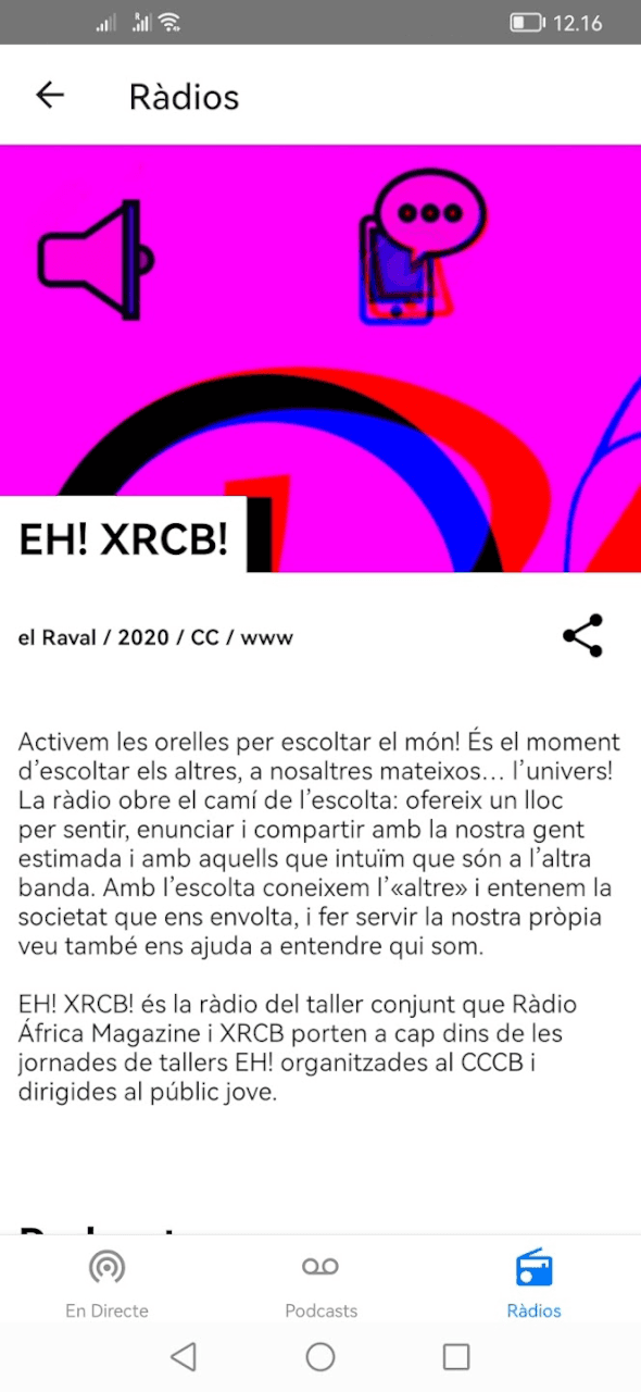 Скриншот 2 — XRCB