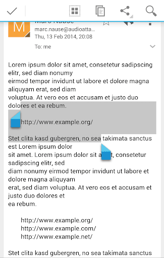 Скриншот 1 — Easy Open Link