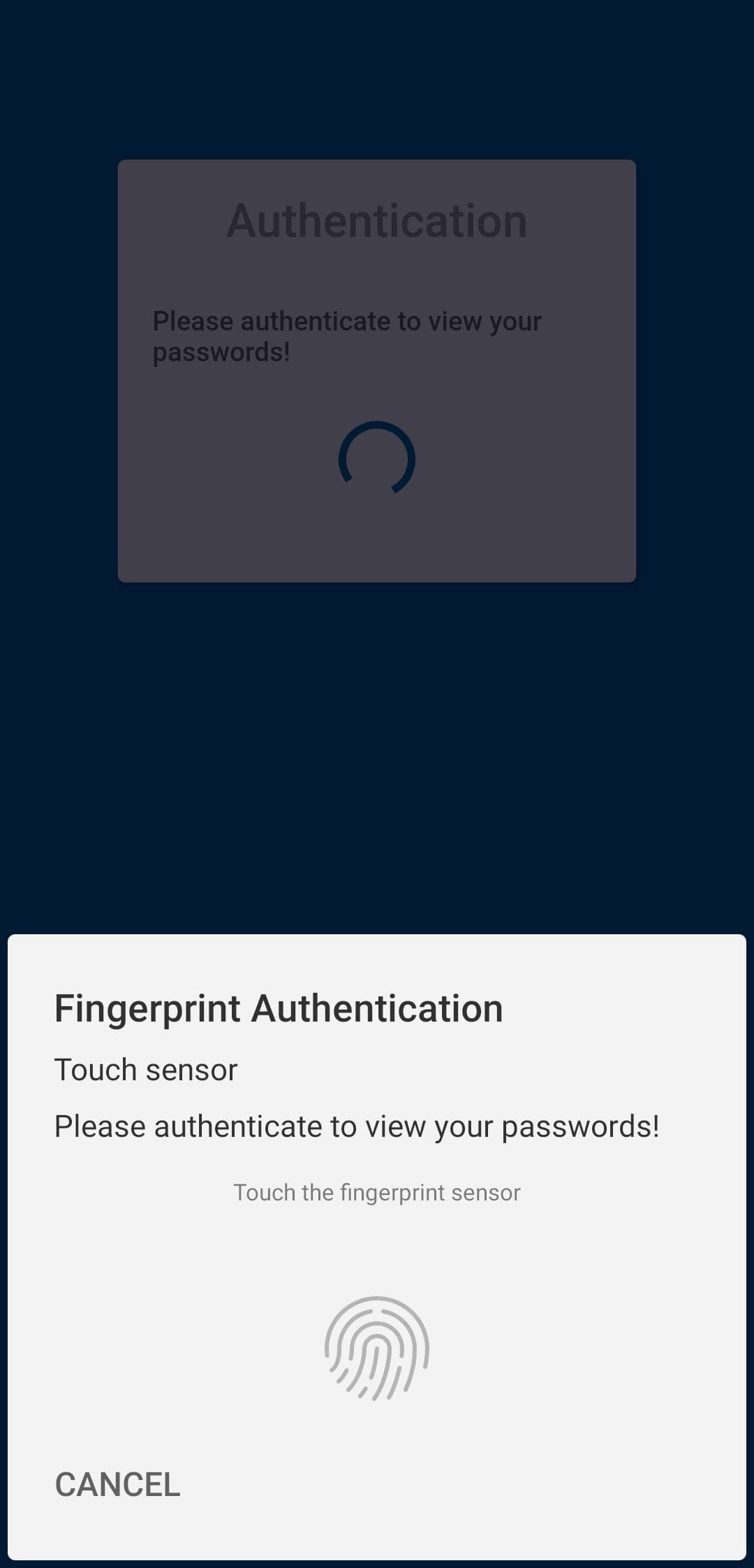 Скриншот 3 — NC Passwords