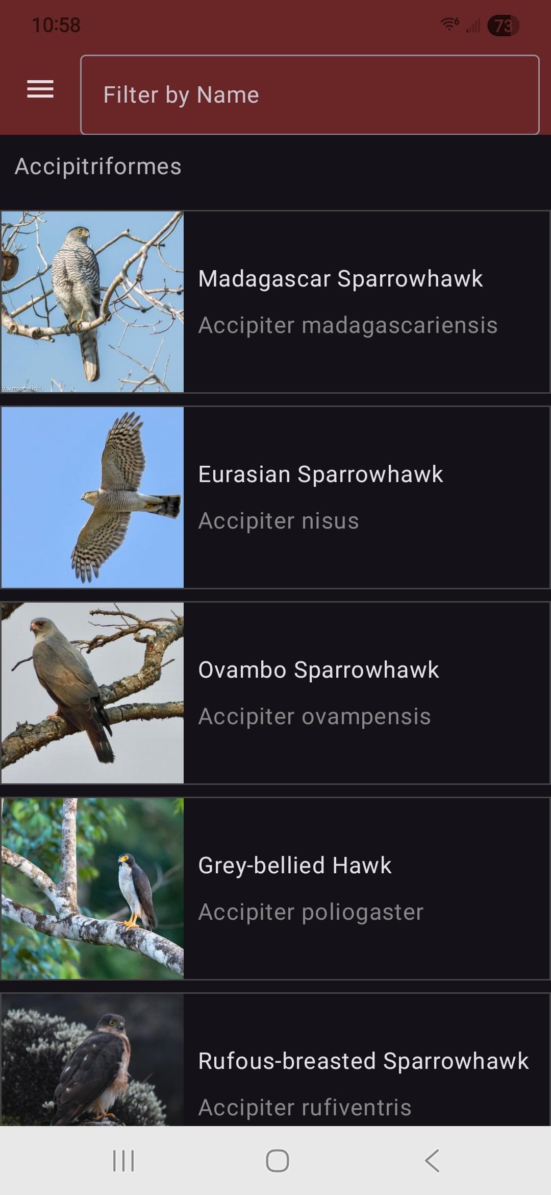 Скриншот 1 — Birdipedia