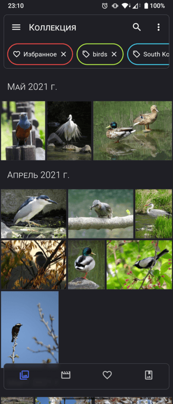 Скриншот 1 — Aves Libre