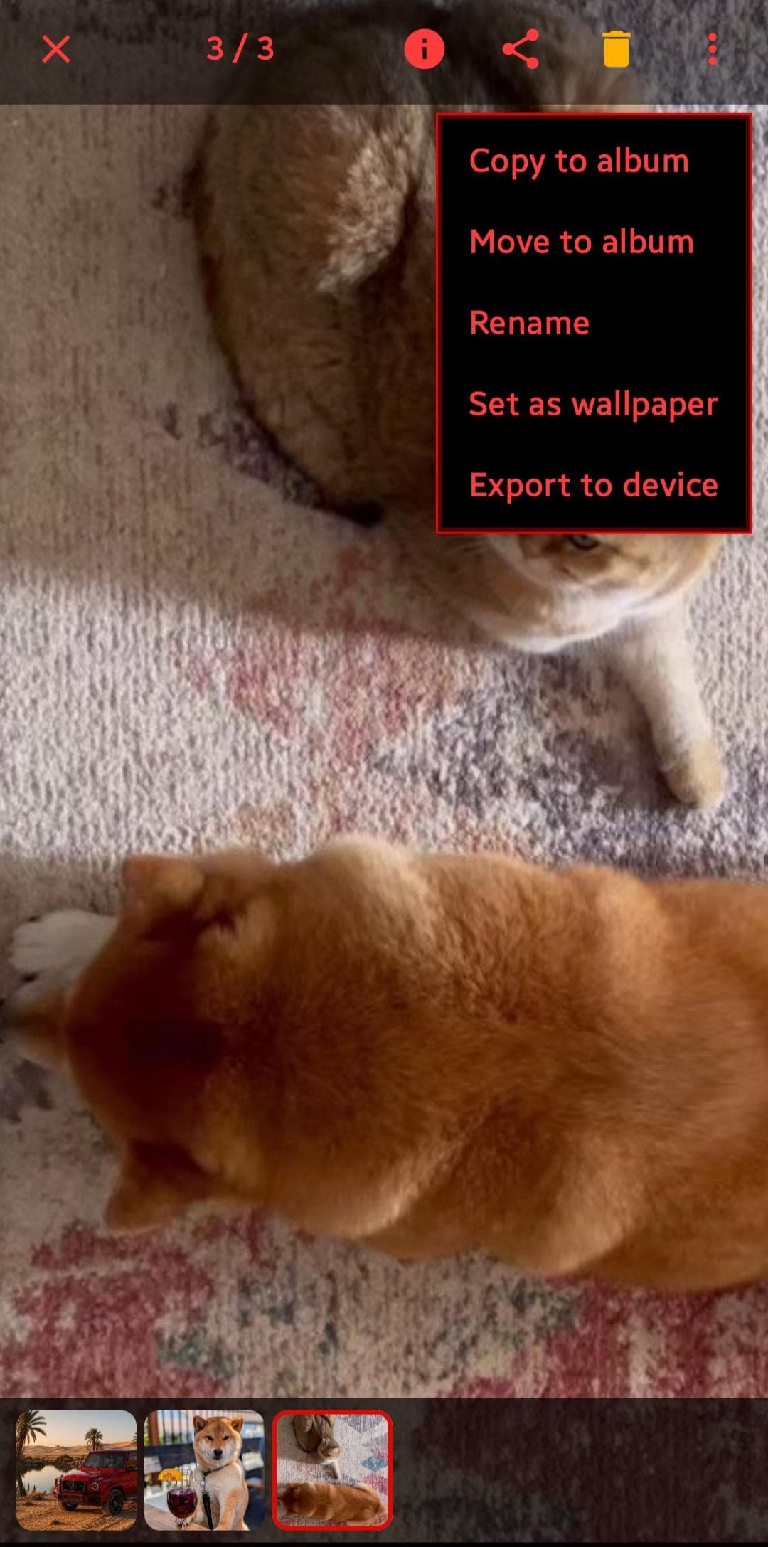 Скриншот 5 — Wolf Gallery