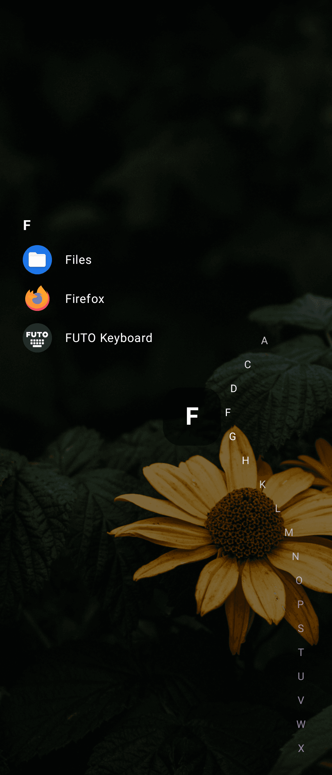 Скриншот 2 — Victoria Launcher