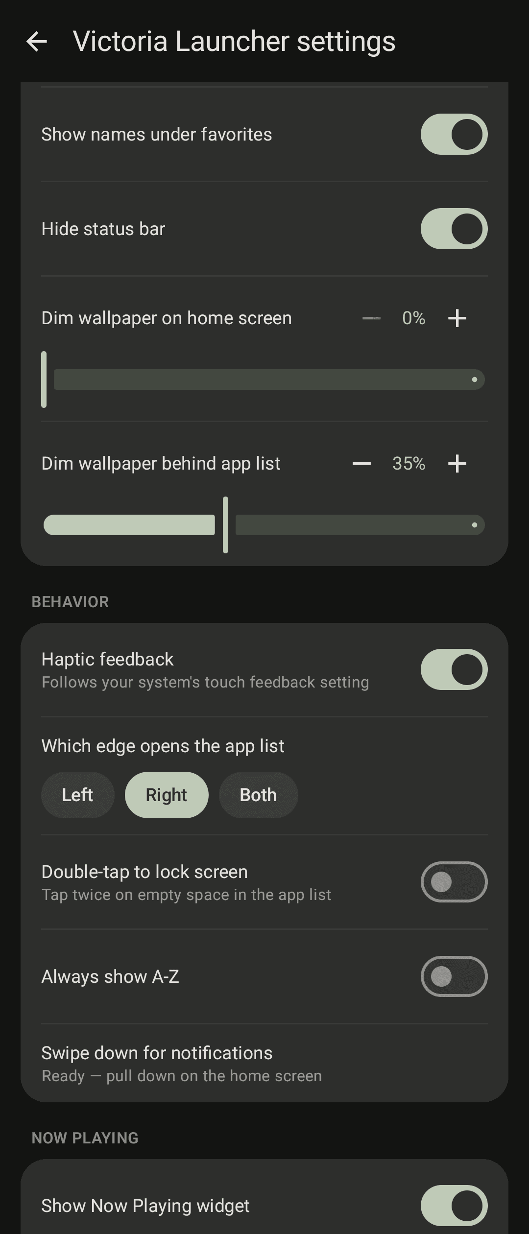 Скриншот 6 — Victoria Launcher