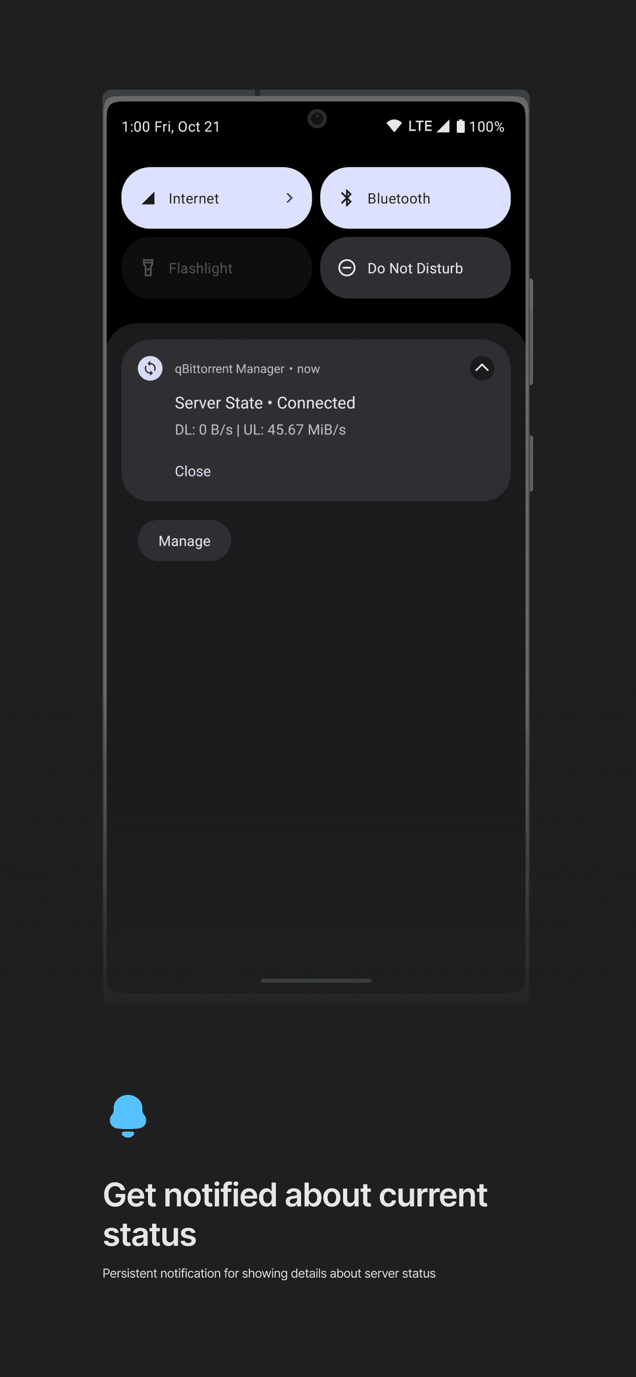 Скриншот 3 — qBittorrent Manager
