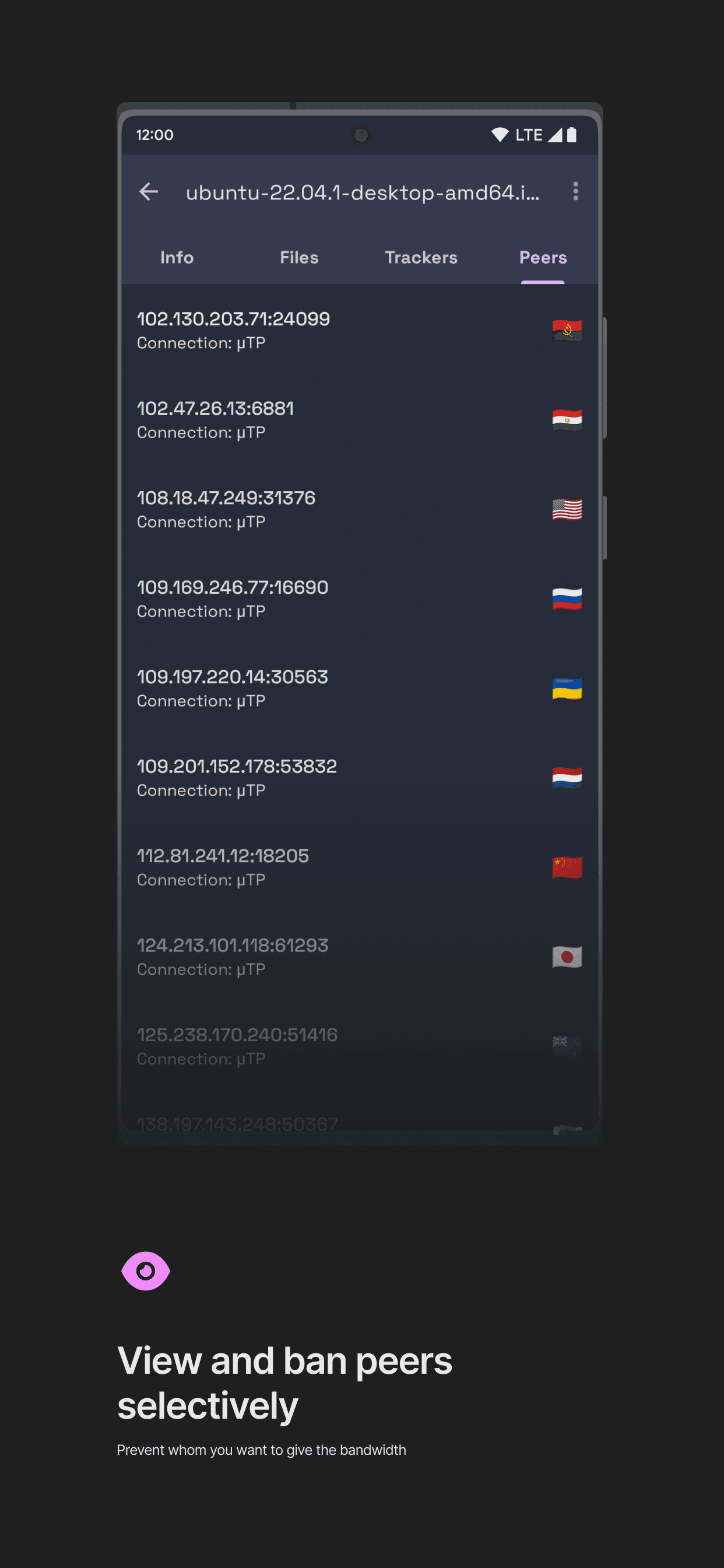 Скриншот 5 — qBittorrent Manager